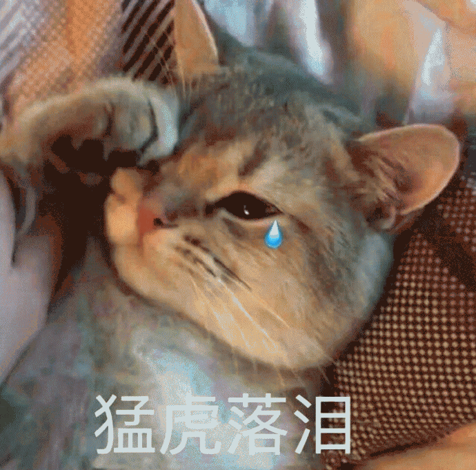 猫咪带字表情包[最近很火的表情包猫都在这里]全套200张