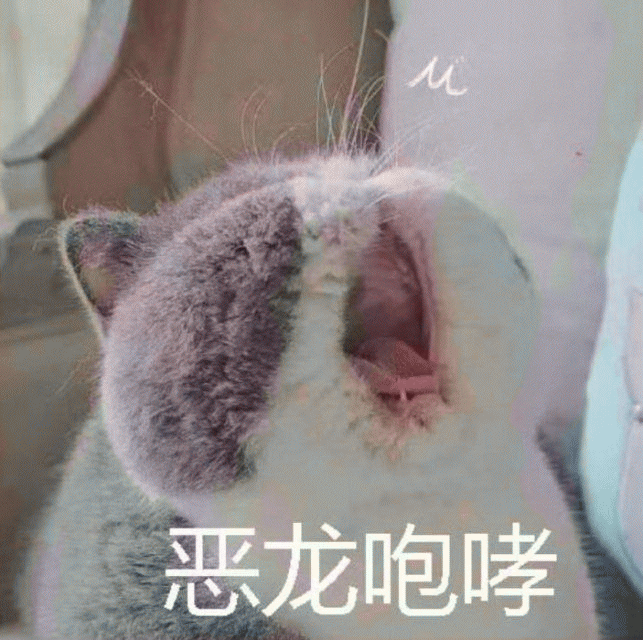 猫咪带字表情包[最近很火的表情包猫都在这里]全套200张