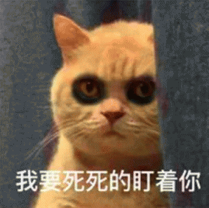 橘猫表情包 [我妈不让我跟傻子玩]