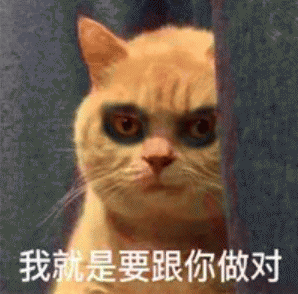 橘猫表情包 [我妈不让我跟傻子玩]