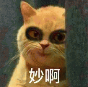 橘猫表情包 [我妈不让我跟傻子玩]