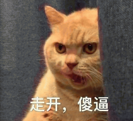 橘猫表情包 [我妈不让我跟傻子玩]