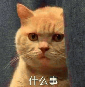 橘猫表情包 [我妈不让我跟傻子玩]